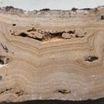 Carbonate deposit from the Roman aqueduct of Cahors, France, showing cleaning episodes